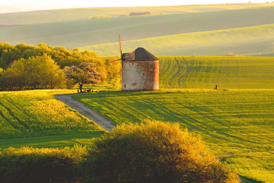 Spring poetry by Richard Lang on 500px.com