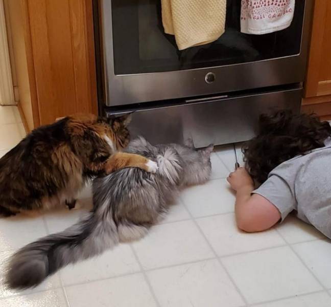 Подборка прикольных картинок  приколы,смешные картинки,юмор