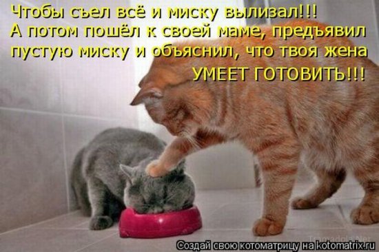 Несерьезные отношения (котоматрица)