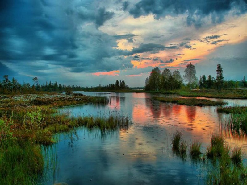 Васюганские болота - самые большие болота в мире путешествие,туризм,турист