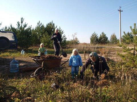 Октябрьские мероприятия 2014 года по посадкам, проведённые жителями деревни Ковчег.