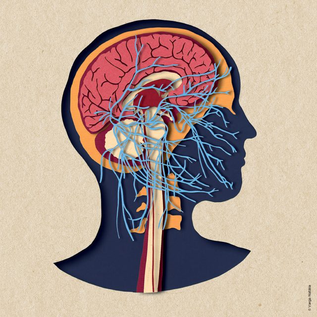 Воспаление мозгов. Как депрессия и ментальное здоровье связаны с воспалительными процессами
