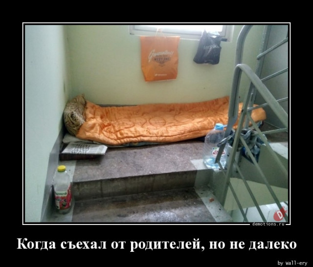 Демотиваторы в середине недели: «Вчера здесь было три кабачка» 