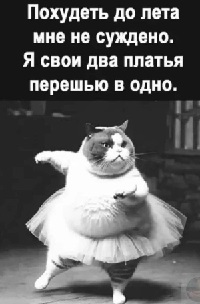 Совет диетолога: Никогда не ешь на голодный желудок