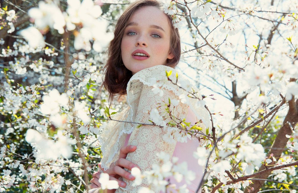 ÐаÑÑинки по запÑоÑÑ cherry blossom