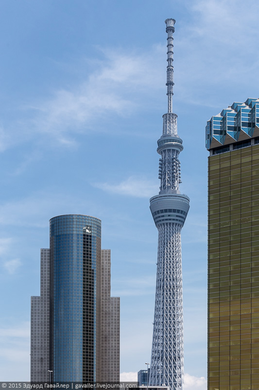 Как научиться ориентироваться в Токио за 48 часов