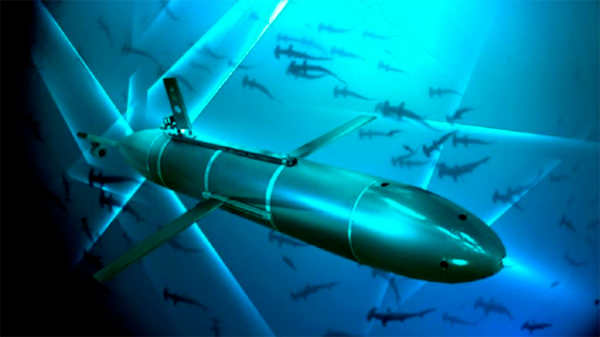 И один в поле воин, если это подводная лодка "Белгород" новости,события