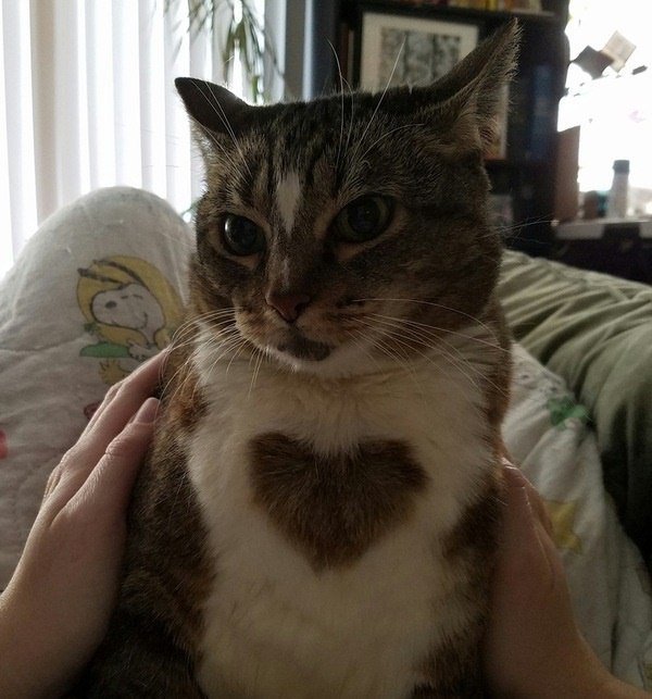 Прикольные и классные картинки из нашей жизни 