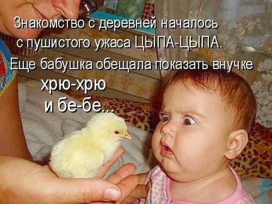 - Через 5-10 лет мы будем жить лучше, чем в Германии... каждый, такое, вдруг, хлопнул, после, когда, облом, понял, Гриша, Выпишите, Нидерланды, должныПрочтите, отпускать, аптеках, справки, такой, тысяч, насморка, капли, кажется