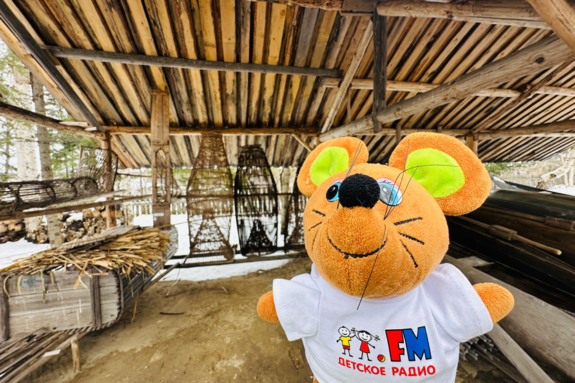 5. Без подписи