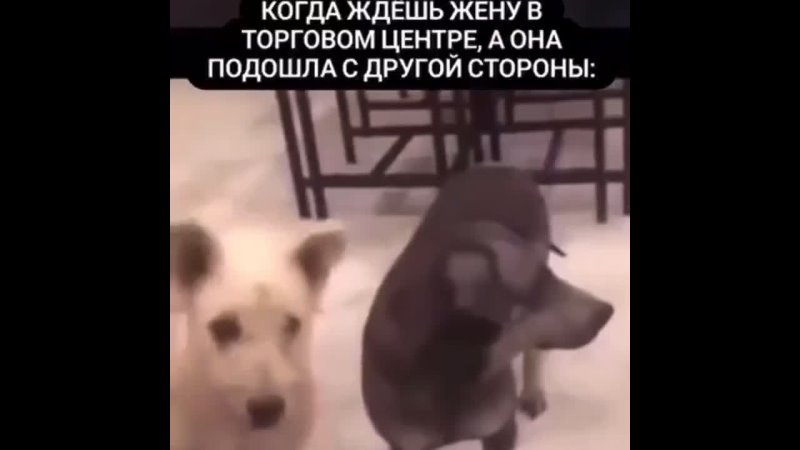 Video: Видео от Донецкая группа новостей|Донецк.ДНР