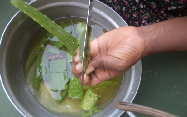 Алоэ вместо дорогих процедур: топ-3 маски для кожи лица