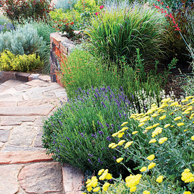 wild-garden-inspiration-herbs2.jpg wild-garden-inspiration-herbs2.jpg