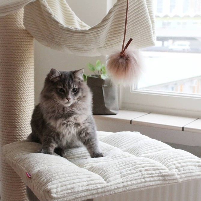 7 самодельных игрушек для кошки, которые подойдут современному интерьеру домашние животные