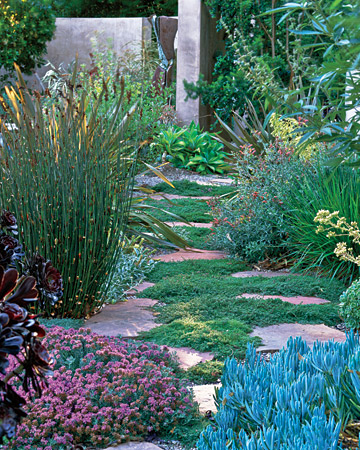 wild-garden-inspiration-flowers14.jpg wild-garden-inspiration-flowers14.jpg