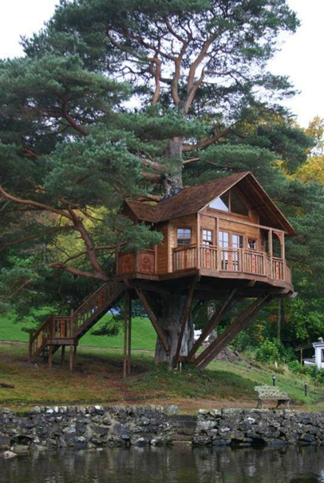 Просторный домик на дереве.