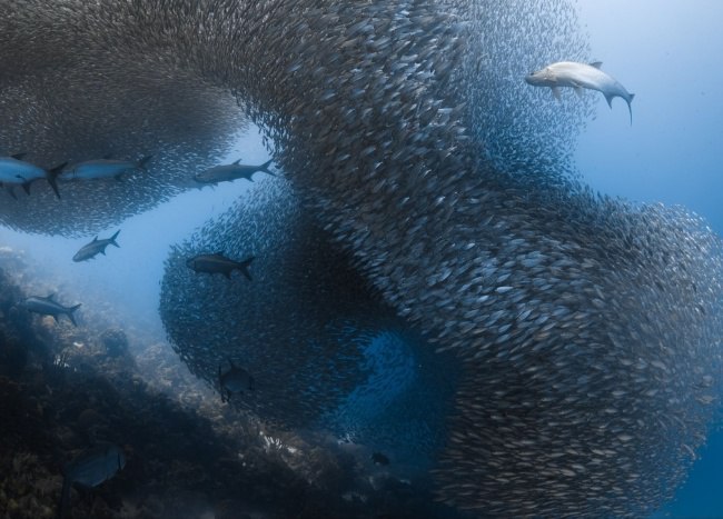 Подборка забавных и прикольных картинок с фотографиями красивые фотографии,прикольные картинки,шикарные фотографии