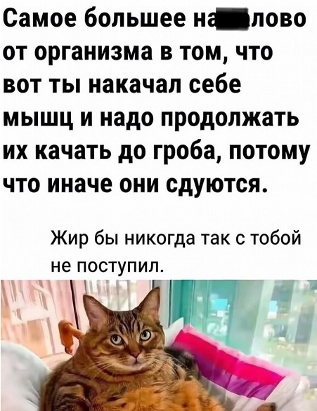 Центнер красоты