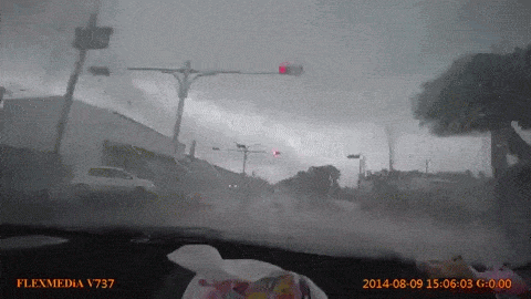 Подборка прикольных Гифок №528 (15 гифок)