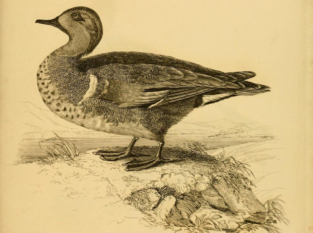 Воскресные охотники. Часть первая