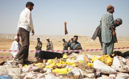 Наркотрафик: «Талибан» меняет правила, кого в России «ломка» ждет?