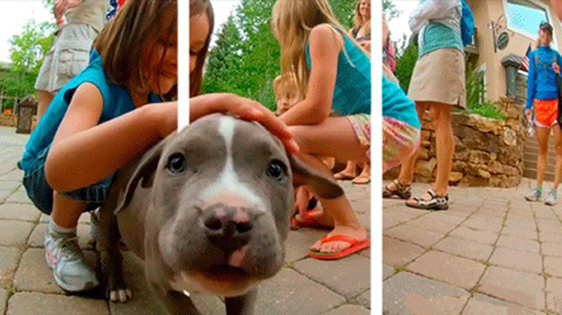 3D-очки не нужны — гифки, готовые выпрыгнуть из экрана