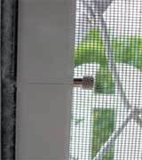 Надежная защита от комаров на даче
