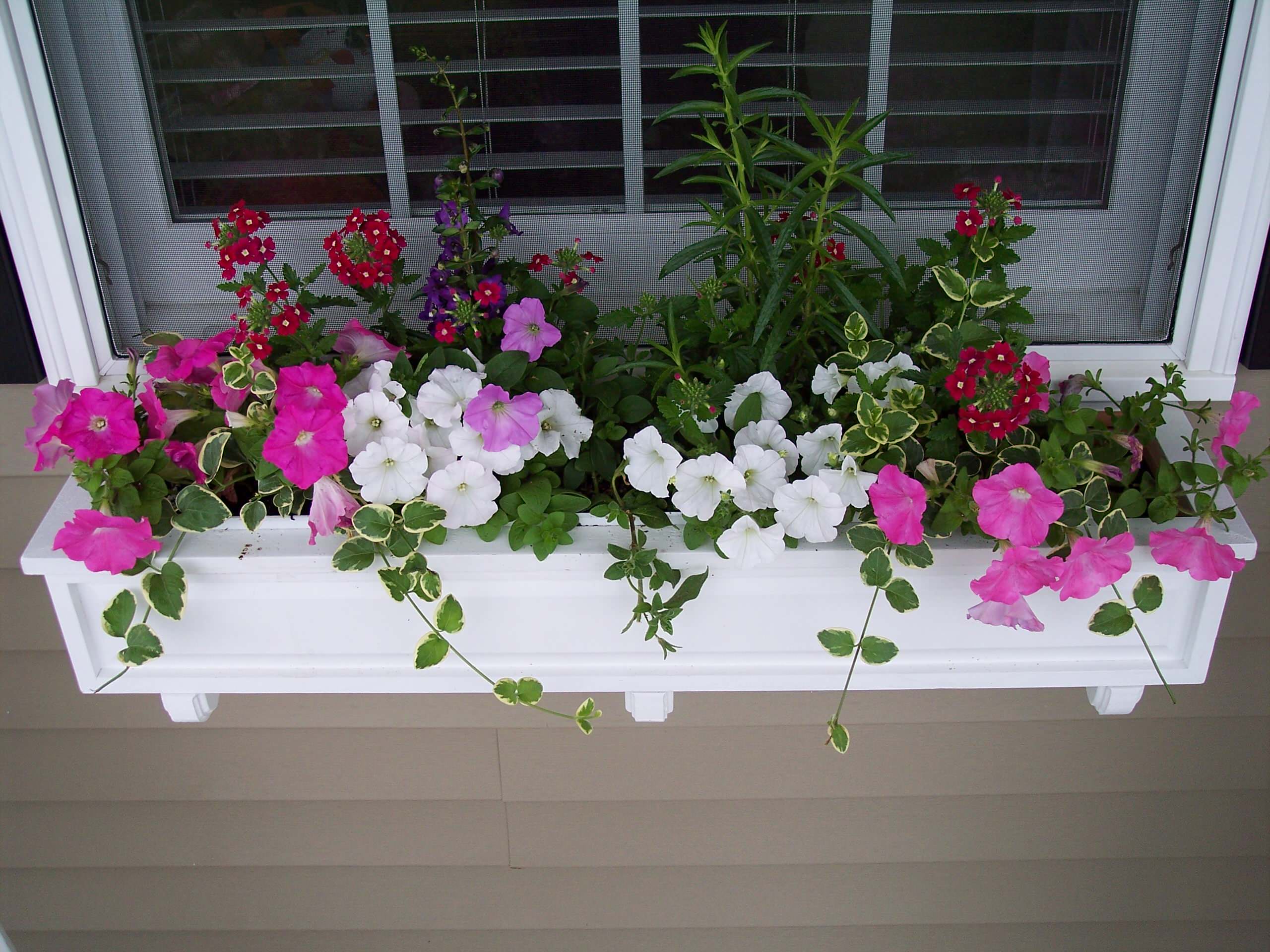 Вопрос: Как разбить сад за окном в цветочнице дача,комнатные растения,сад и огород