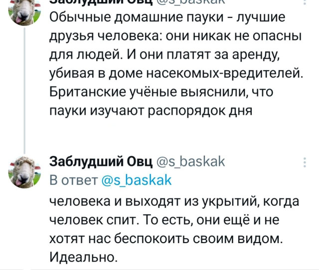 Прикольные твиты: «Оказывается, если прикольно проводить время…» 