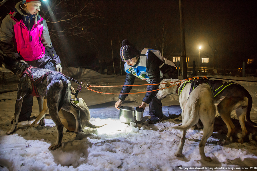 Волга Квест 2016