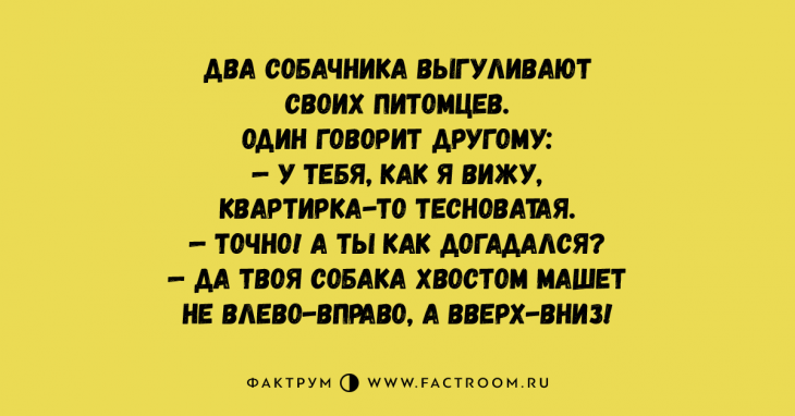 Топ 10 исключительно смешных анекдотов, достойных вашего внимания