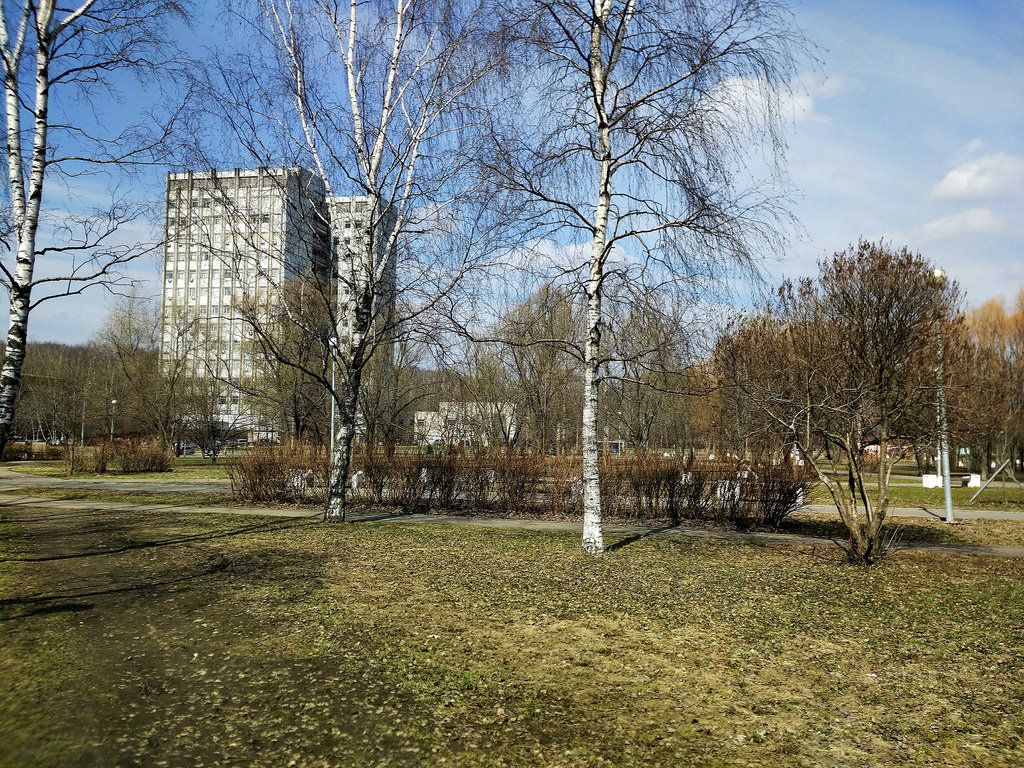 Гольяновский парк москва