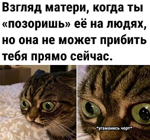 Практически каждая жена знает, что самое сложное в приготовлении пищи - это решить, что же всё-таки сегодня приготовить! лампы, окнах, которые, Трамп, марта, самое, букет, Харрис, крепостное, миллионов, мозги, начал, машины, просто, красные, вообще, потому, после, чтобы, лучше