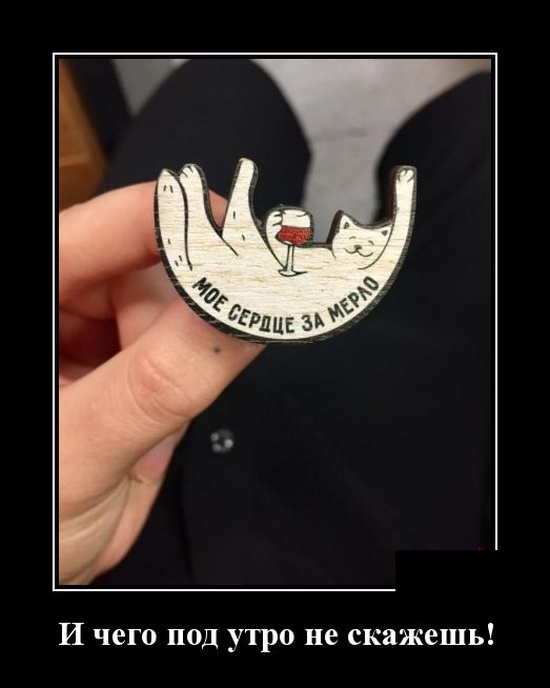 Зачетные и веселые пятничные демотиваторы для улыбки и позитива Зачетные и веселые пятничные демотиваторы для улыбки и позитива приколы,смешные демотиваторы,юмор