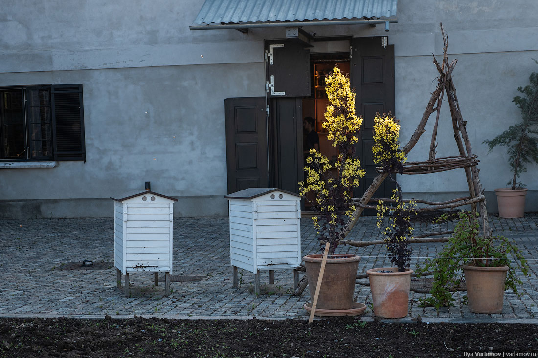 Лучший ресторан мира: рыбий пузырь, муравьи и кожа в шоколаде Лучший ресторан мира: рыбий пузырь, муравьи и кожа в шоколаде мир,страны,туризм