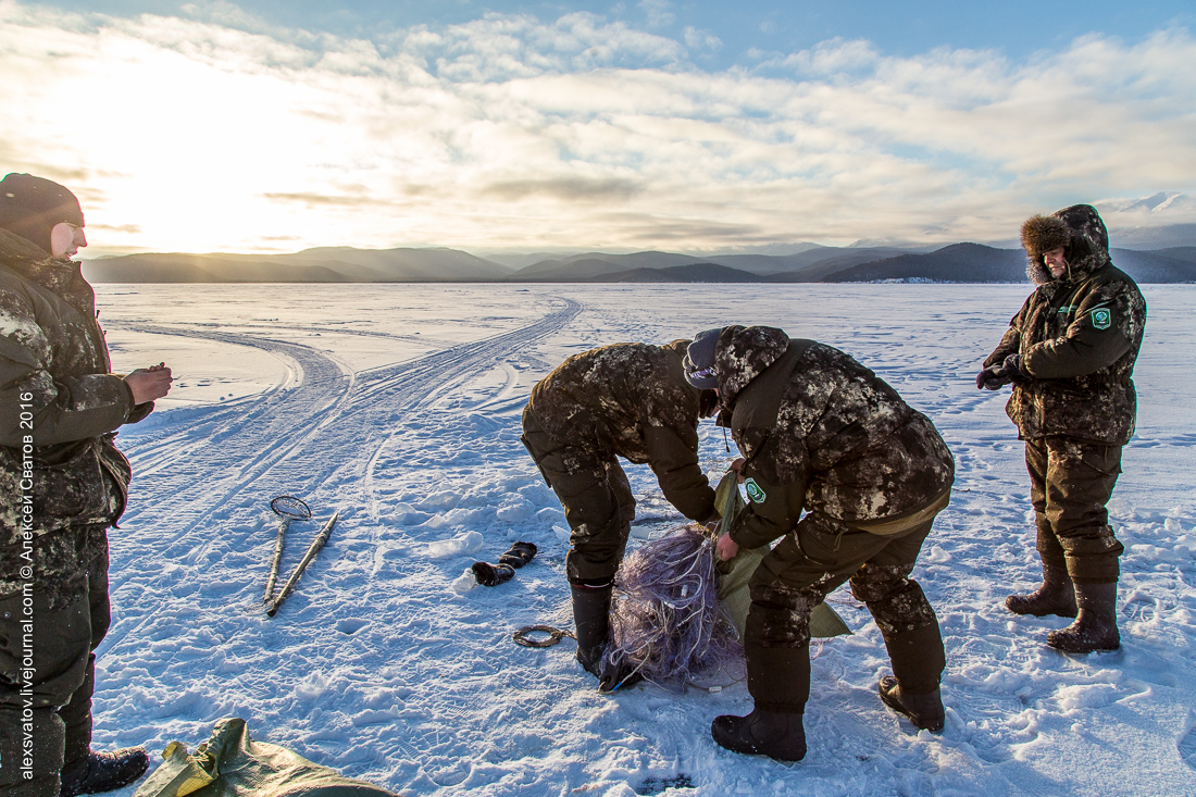 Как работают рыбинспекторы на Байкале