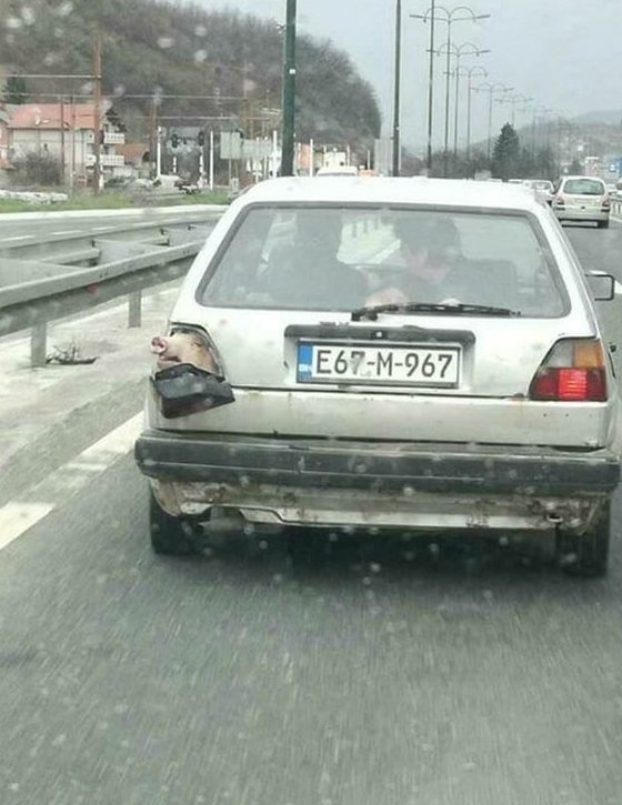 Веские причины немедленно завести свинью домашние животные, прикол, свинья, село, хряк, юмор