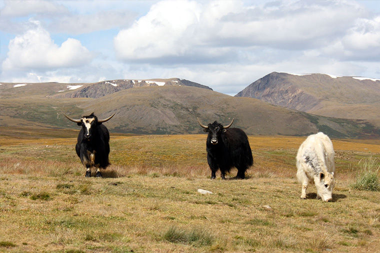 Лучшие природные достопримечательности России и Америки природа,Путешествия,фото