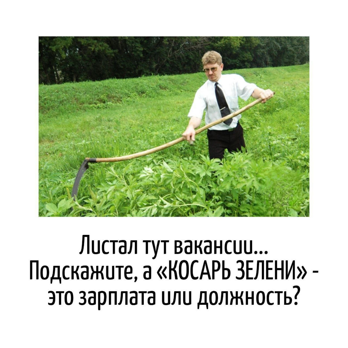 Игра слов — юмор скрытый между строк в каламбурах 