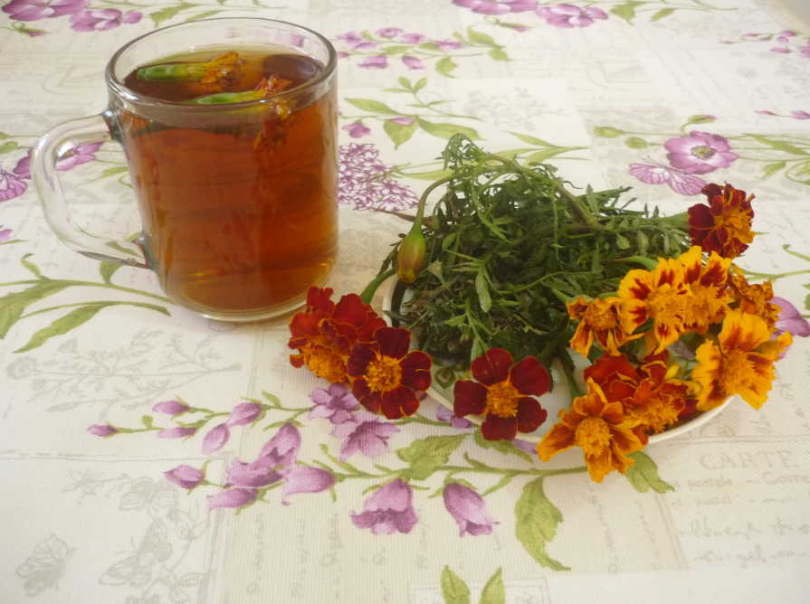 Случай излечения воспаления поджелудочной железы при помощи бархатцев и золотого уса