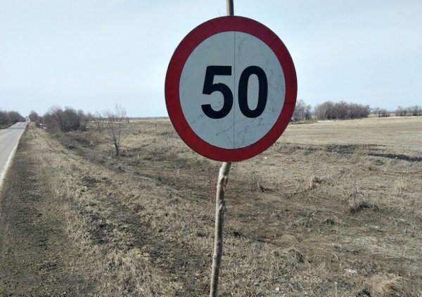 Нужно ли выполнять требования дорожного знака, установленного на дереве или палке? дорожные знаки, пдд, правила