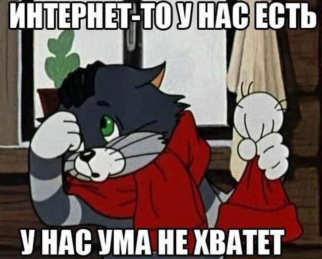 Подборка прикольных фото