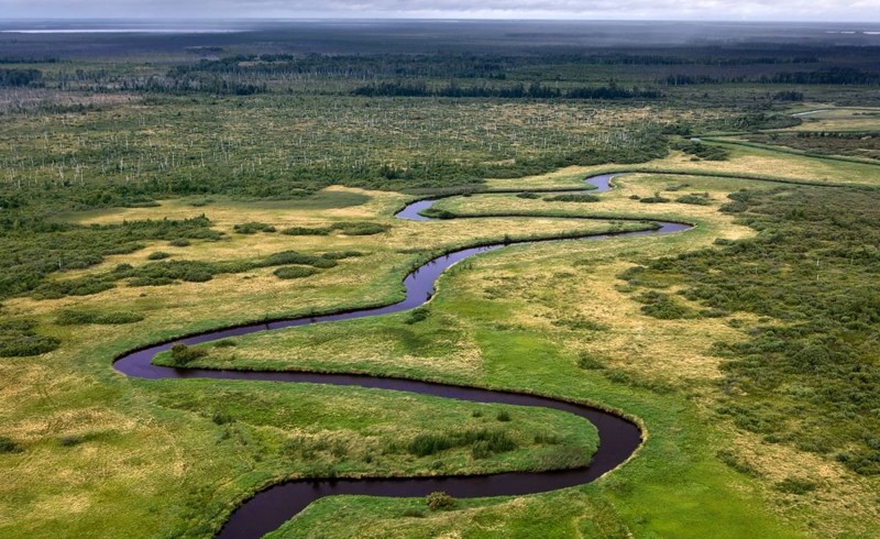 Васюганские болота - самые большие болота в мире путешествие,туризм,турист