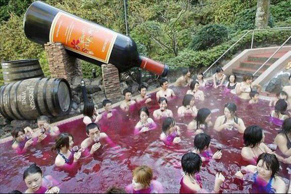 Бассейн наполненный вином. Билет в Японию, пожалуйста! в мире, люди, прикол, япония