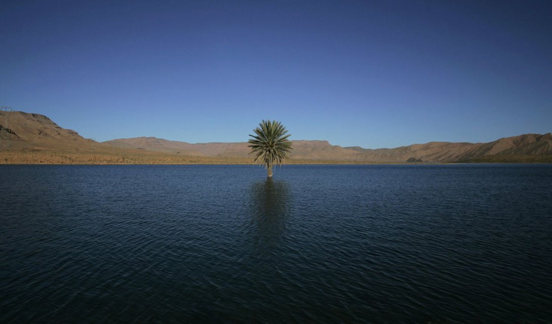 Африка без песка 5000 лет назад: как выглядела Сахара до египетской цивилизации