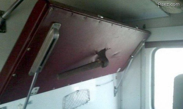 Железнодорожные приколы Железнодорожные приколы