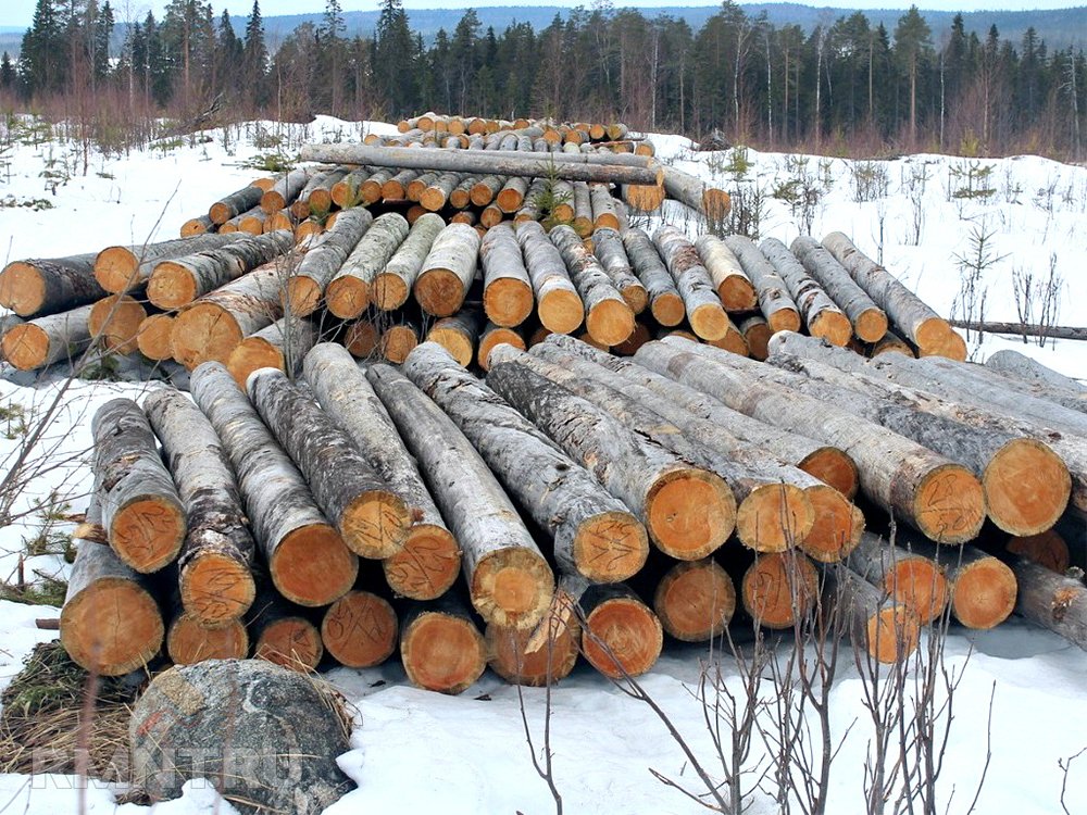 Дома из кело: особенности и преимущества дача,загородный дом,ремонт и строительство