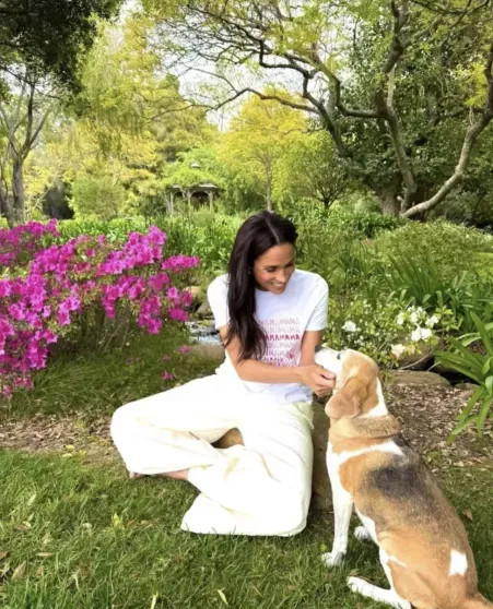 Организатор платных ретритов с участием Меган Маркл назвала её 