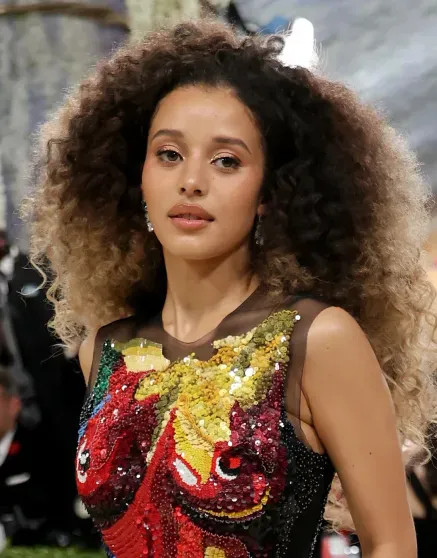 14 лучших образов Met Gala: Ирина Шейк в бриллиантах, 