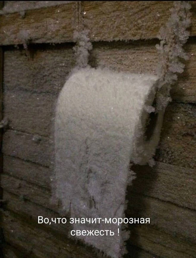 Прикольные картинки с подписями 